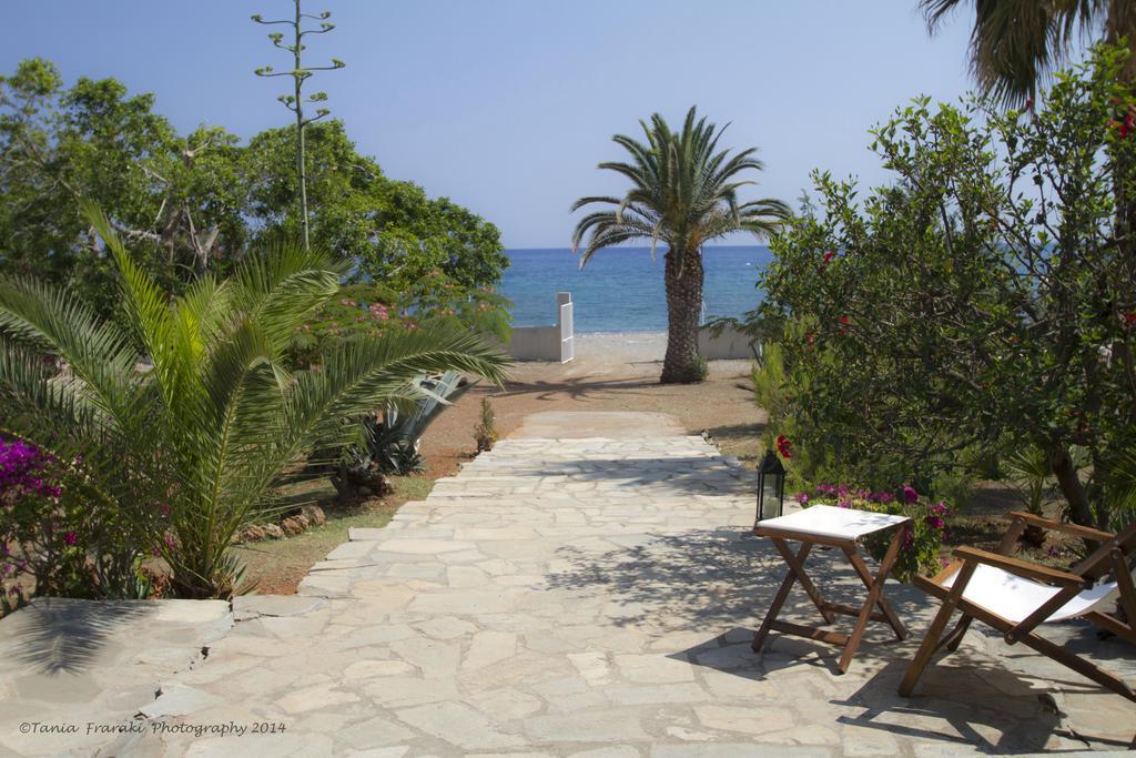 Athena * Pefki (Rhodes)